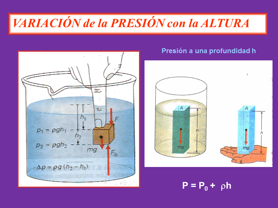 Partes del tensimetro