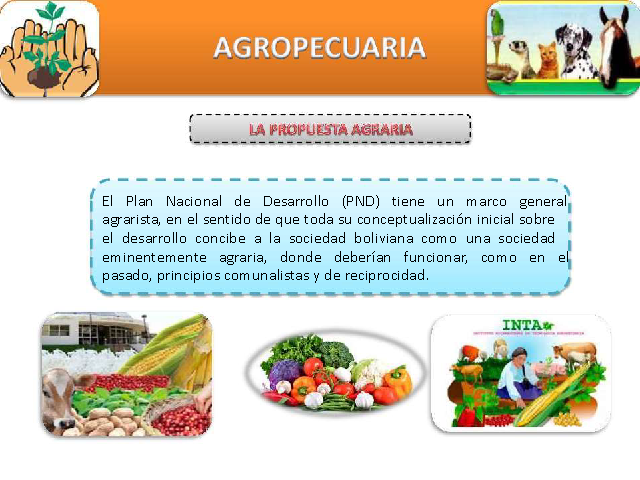 Desarrollo Rural Y Agropecuario En Bolivia Ppt Monografias