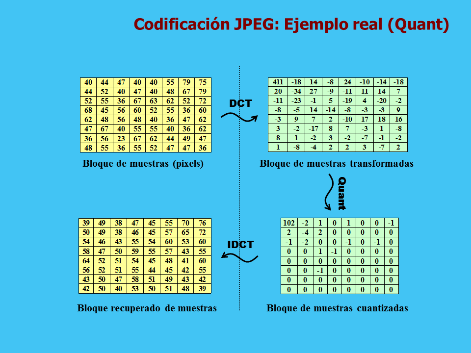 Introducci N A La Codificaci N De Im Genes Monografias