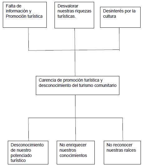 Problemas en Paraso - Fluency Matters