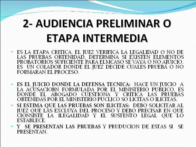 Manual De Derecho Procesal Penal Argentino Descargar Ares
