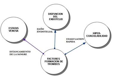 Estado Protromb Tico Hipercoagulabilidad Y Consecuencias En La