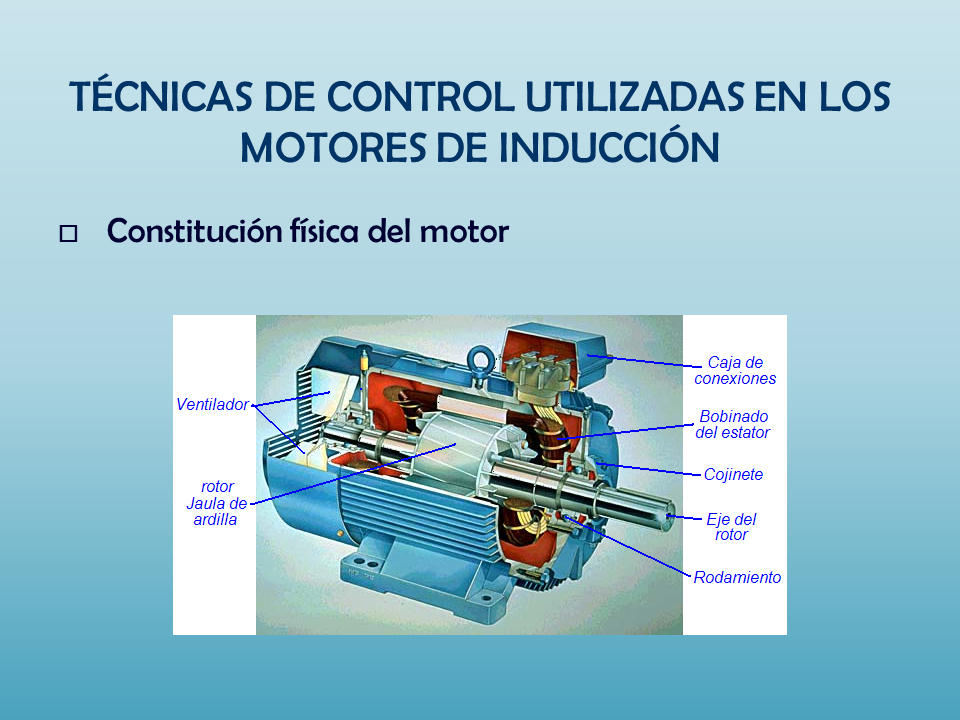 Diseño de un Controlador de Velocidad para un Motor de Inducción