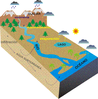 ciclo hidrologico presence