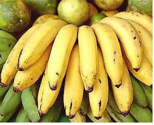 Antecedentes Del Banano Y O Platano