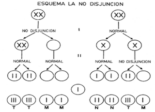 Alteraciones Neurologicas