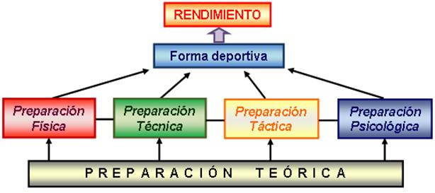 Programa De La Preparaci N Te Rica Para Entrenadores