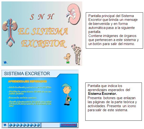 especialista de software i