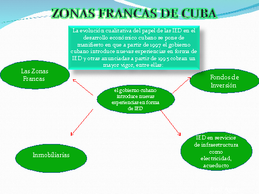 La Inversión Extranjera Directa Y La Crisis Económica