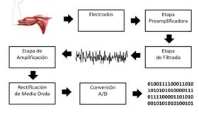 Diagrama de bloques EMG