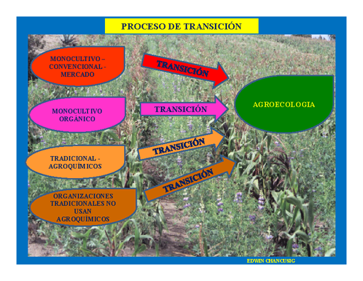 Agroecologia Alternativa De Vida