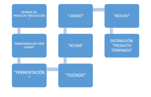 Estudio de mercado, Café Altomayo