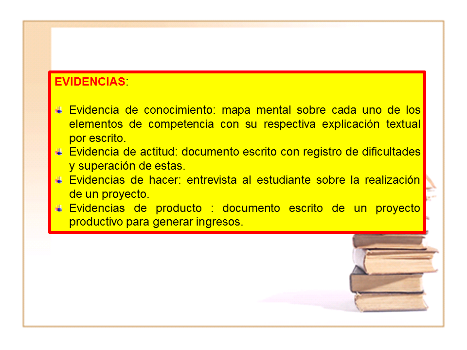 La Competencia Estructura y componentes centrales (página