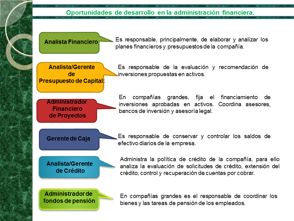 Introducción de las finanzas particularidades (PPT