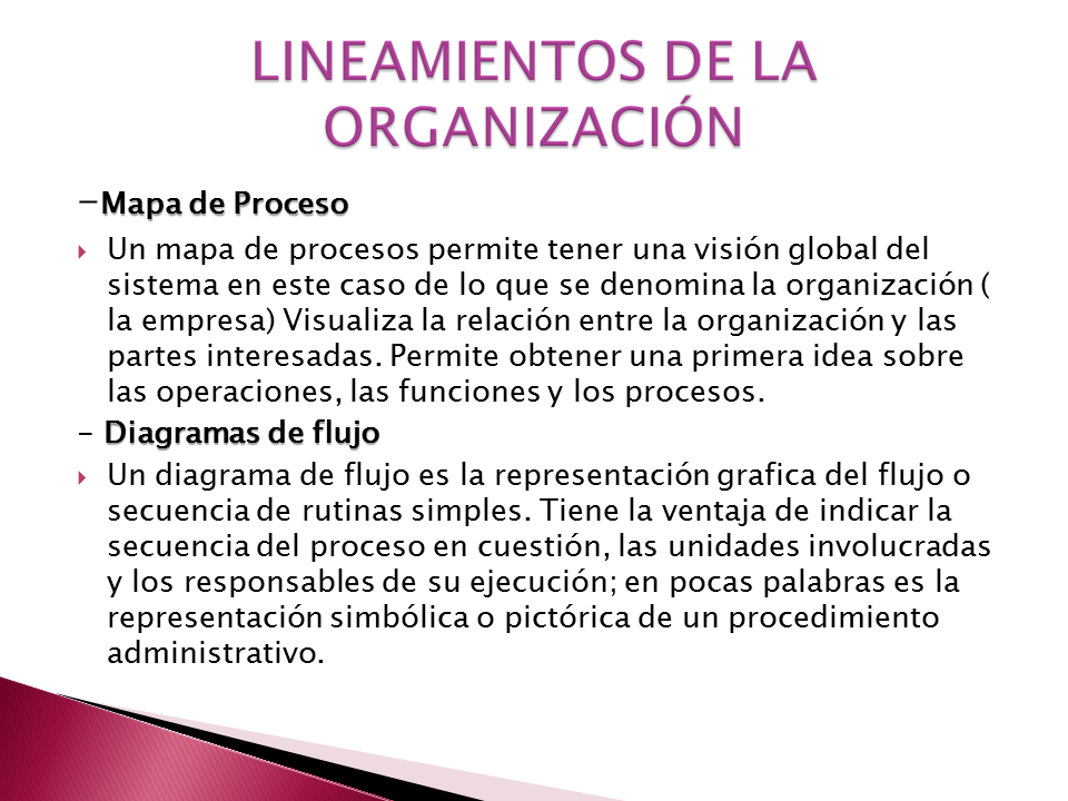 Manual de organización en obra (PPT) (página 2 