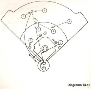 Criterios Metodológicos para la enseñanza del Beisbol (página 2)