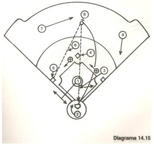 Criterios Metodológicos para la enseñanza del Beisbol (página 2)