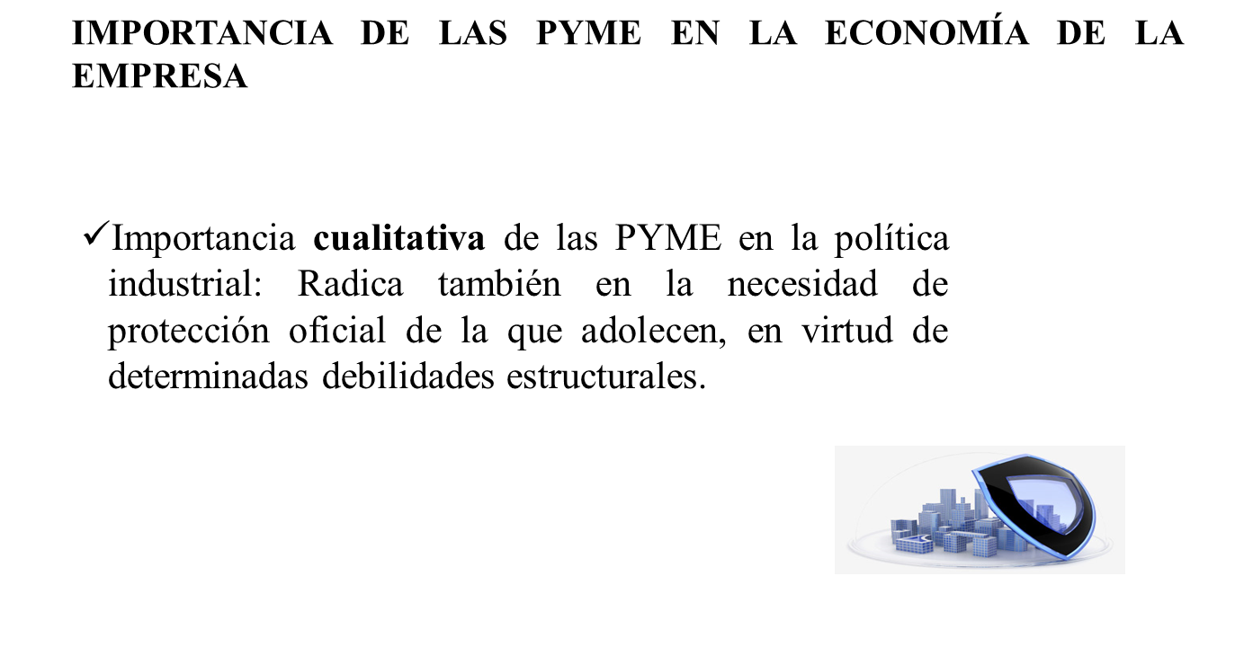 La Economía De Empresa Y Las Pyme 9000