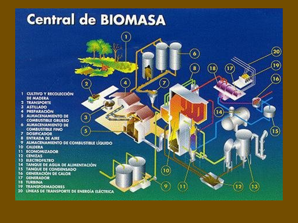 Principios De La Biomasa 8039