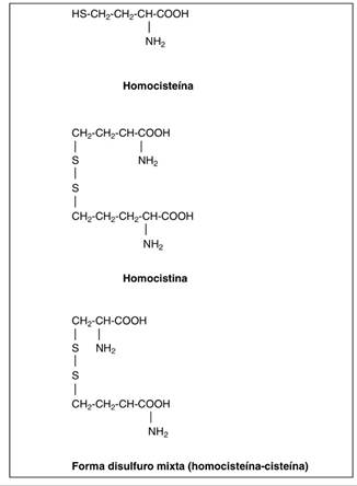 Hiperhomocisteinemia: Diagnóstico, Criterios Y Tratamiento