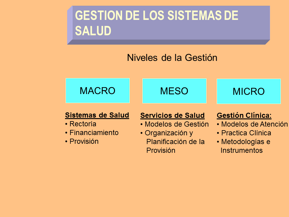 Arriba 79 Imagen Modelo De Gestion Salud Abzlocal Mx