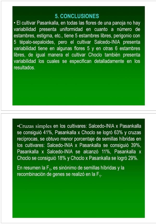 Determinación de la formula floral e hibridación en tres cultivares de  quinua – Perú