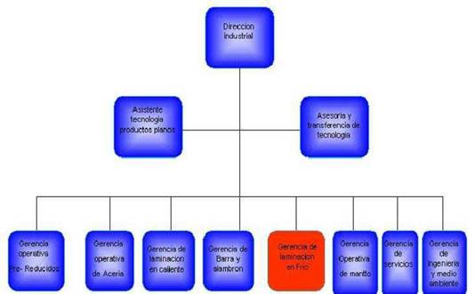 Diseño del plan de evaluación y control de riesgos para 