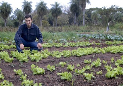 Ecología vegetal