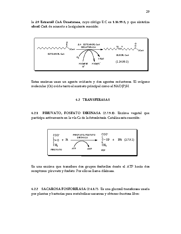 Nomenclatura Y Clasificación De Enzimas