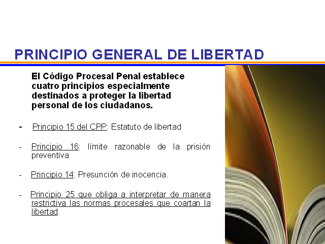 Los Principios Fundamentales Y Constitucionalización Del Proceso Penal