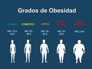 Texto de escritura incrementar el metabolismo. Concepto Significado  aumentar la eficiencia en la quema de grasas de cuerpo Fotografía de stock  - Alamy