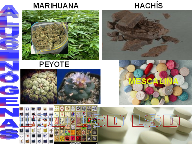 Las Drogas: Concepto, Clasificación, Efectos, Consecuencias ...