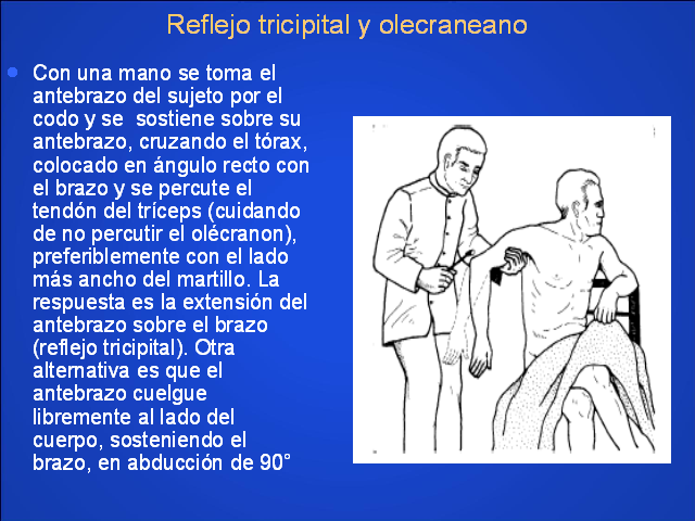 reflejo bicipital