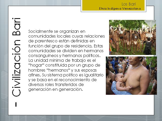 Los Bari Etnia Indigena Venezolana Monografias Com