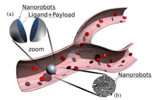 Nanorobótica Enfocada Hacia Los Nanorobots Para Aplicaciones Médicas