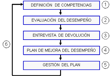 Sistema de gestión del desempeño orientado a competencias