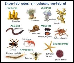 Diversidad Biológica