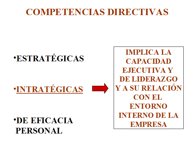 Competencias Directivas En La Gestion De Una Organizacion Monografias Com