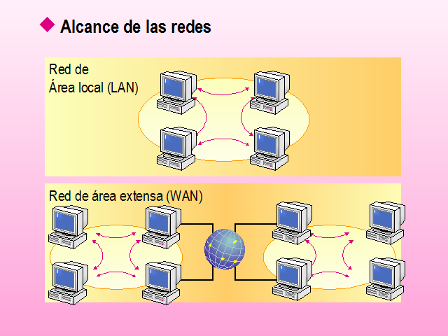 componentes básicos de la red lan