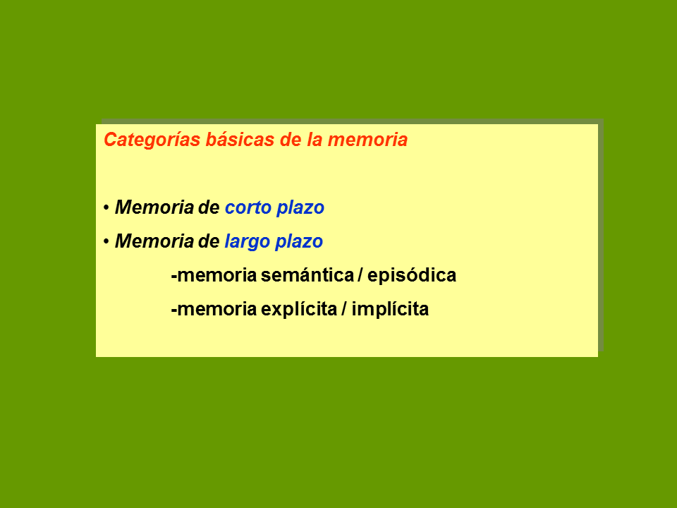 Aprendizaje Y Memoria – Principios Básicos