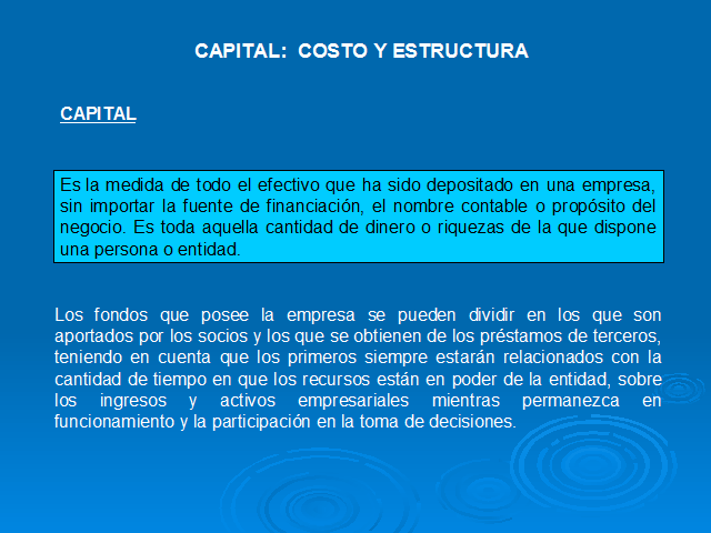 Capital Costo Y Estructura