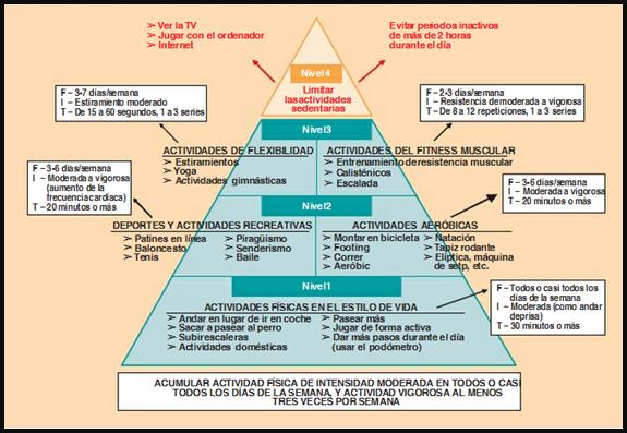 El Deporte Social Monografias Com