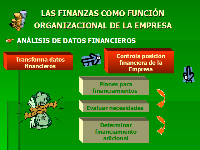 Finanzas como función organizacional