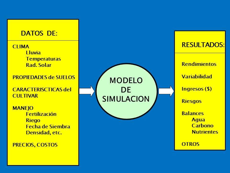 Modelos de Simulación en la Agricultura (página 2)