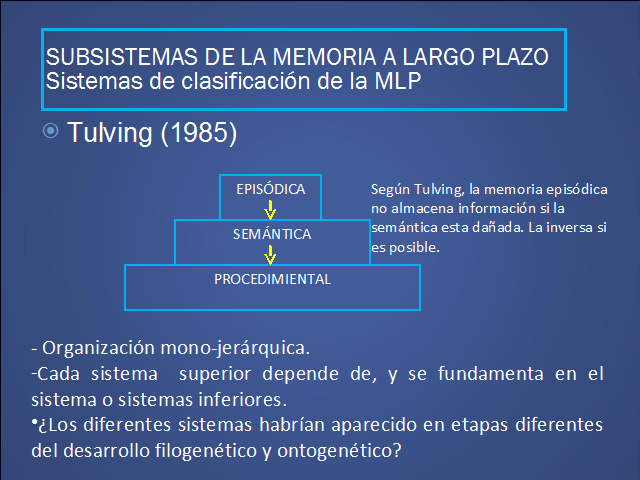 Percepción y memoria (página 2)