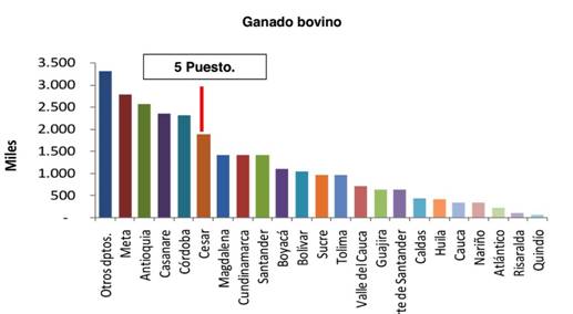 Imagen relacionada