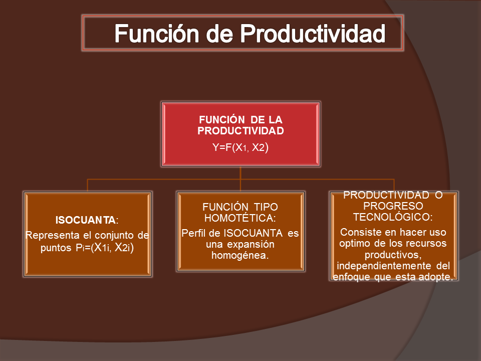 Función De Producción Y La Productividad (página 2)