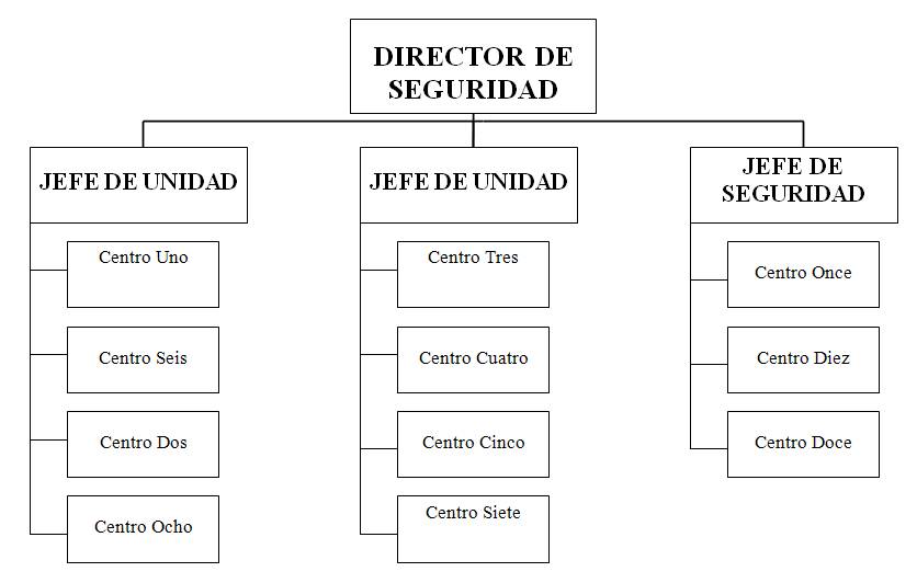 FUNCIONES DE LOS VIGILANTES DE SEGURIDAD - APIA