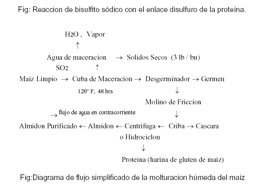 El Maíz y su transformación en Harina