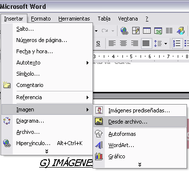 Word xp какая версия word